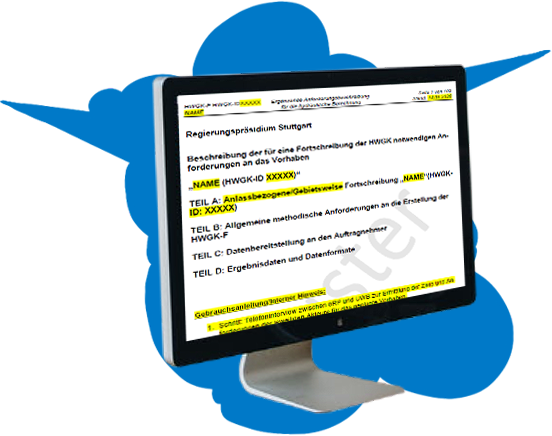 Computerbildschirm mit Anforderungsbeschreibung